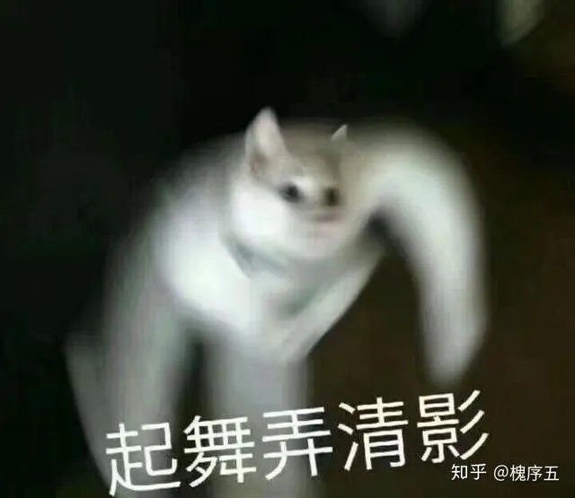 有没有让人笑得停不下来的图片或笑话或视频,可以分享一下吗?