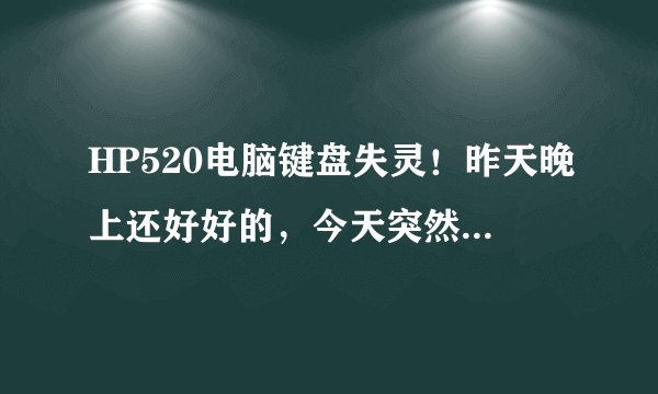 HP520电脑键盘失灵!昨天晚上还好好的,今天突然不行了,重启过,重插过,电源正常