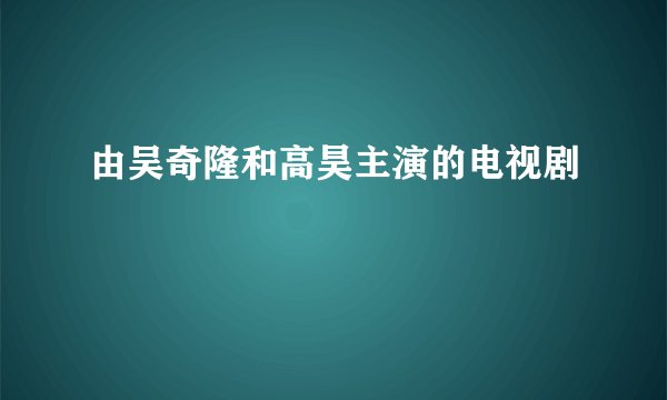 由吴奇隆和高昊主演的电视剧