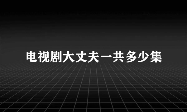 电视剧大丈夫一共多少集