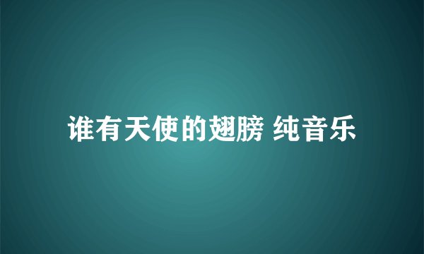 谁有天使的翅膀 纯音乐