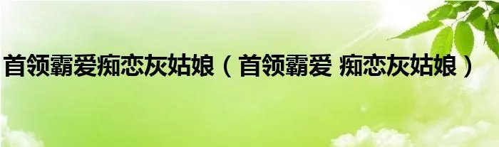 首领霸爱痴恋灰姑娘（首领霸爱 痴恋灰姑娘）