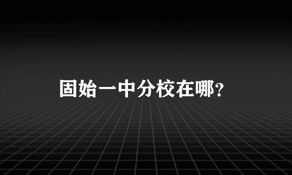 固始一中分校在哪？