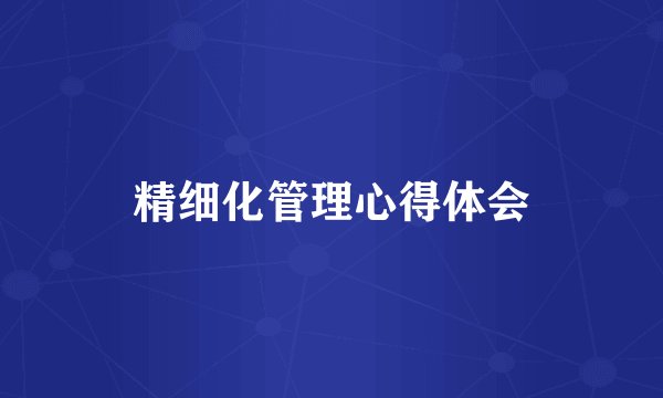 精细化管理心得体会