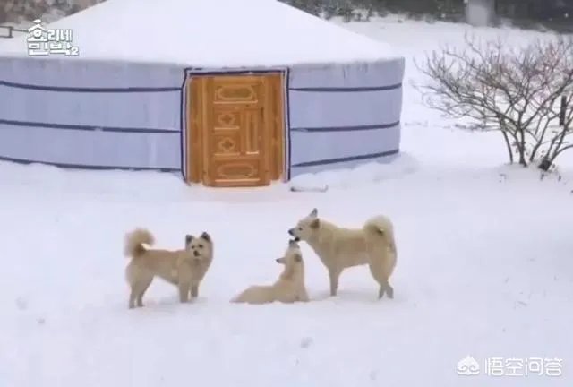 为什么李孝利炫富不招人讨厌?