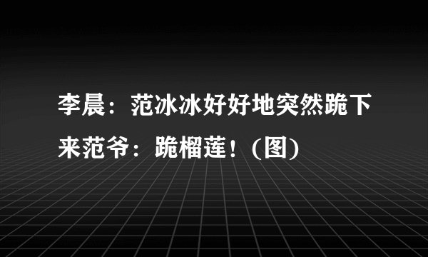 李晨：范冰冰好好地突然跪下来范爷：跪榴莲！(图)