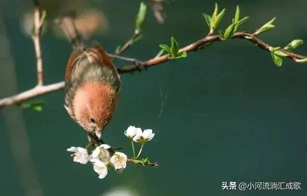 您认为中医药的进一步发展应从哪个方面入手?