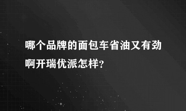 哪个品牌的面包车省油又有劲啊开瑞优派怎样？