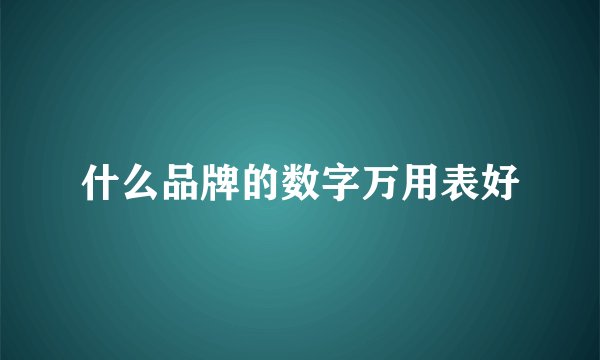 什么品牌的数字万用表好