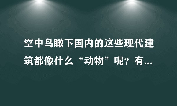空中鸟瞰下国内的这些现代建筑都像什么“动物”呢？有意思吧！
