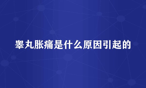 睾丸胀痛是什么原因引起的
