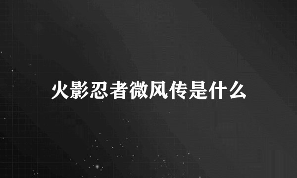 火影忍者微风传是什么