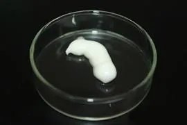 甲基丙烯酸粘合剂是可以粘硅胶的胶水吗？