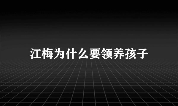 江梅为什么要领养孩子