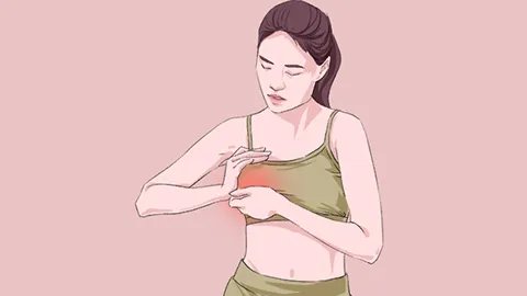 妇科炎症如何食疗