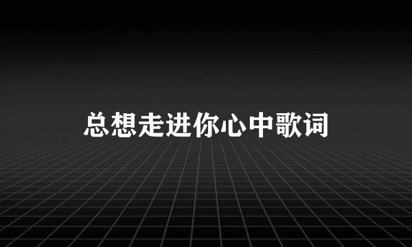 总想走进你心中歌词