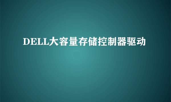 DELL大容量存储控制器驱动
