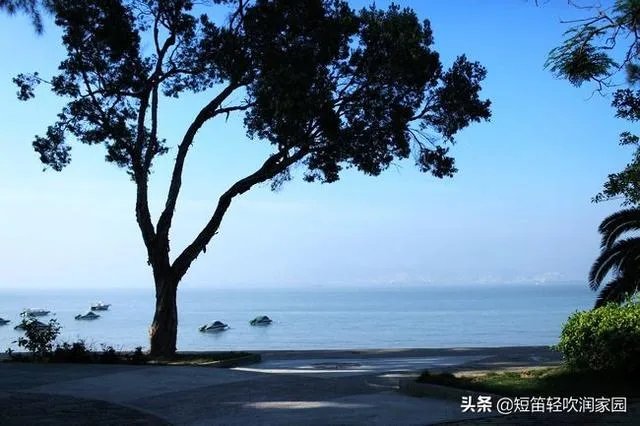 对于终将逝去的青春,你爱的那个少年还在你身边吗?