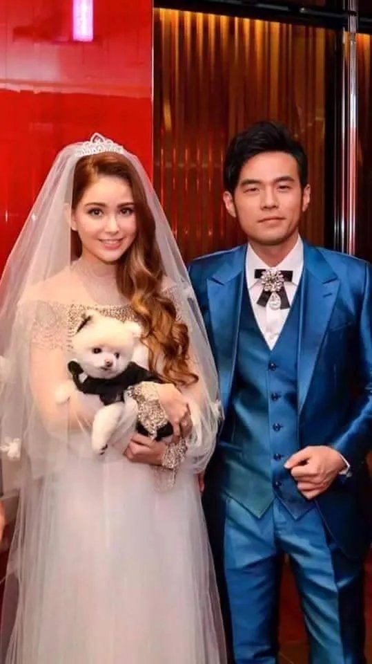 你知道哪些明星,在家养有什么样的宠物呢?