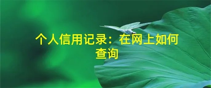 个人信用记录:在网上如何查询