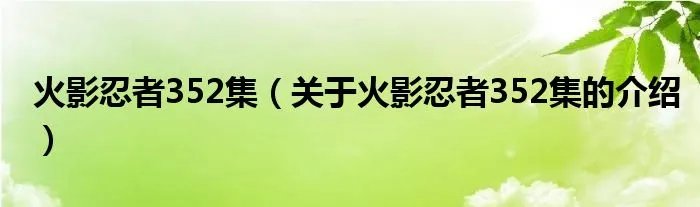 火影忍者352集（关于火影忍者352集的介绍）