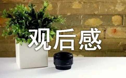 最美孝心观后感