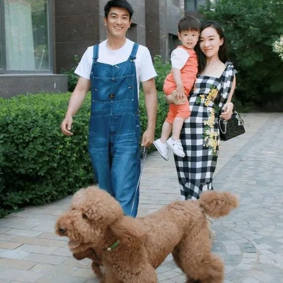 你知道哪些明星,在家养有什么样的宠物呢?