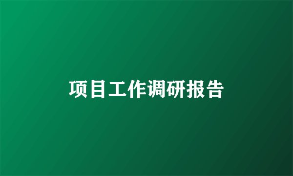 项目工作调研报告