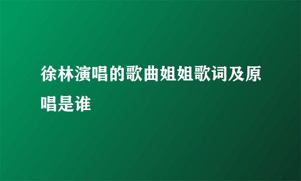 徐林演唱的歌曲姐姐歌词及原唱是谁