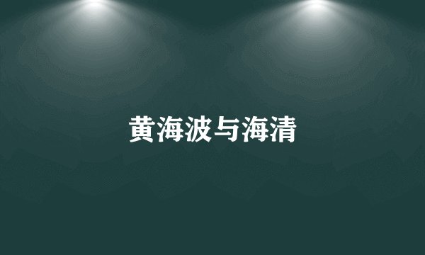 黄海波与海清