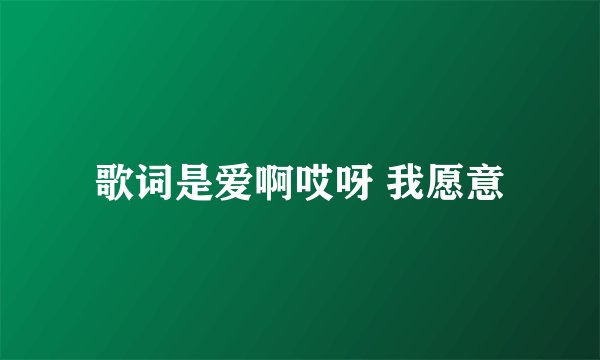 歌词是爱啊哎呀 我愿意