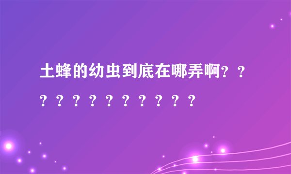 土蜂的幼虫到底在哪弄啊？？？？？？？？？？？？