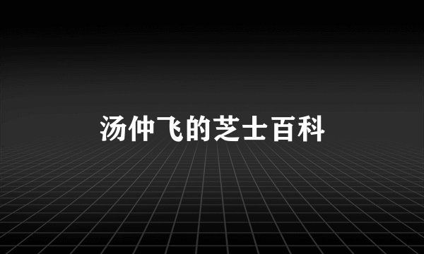 汤仲飞的芝士百科
