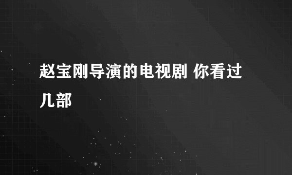 赵宝刚导演的电视剧 你看过几部