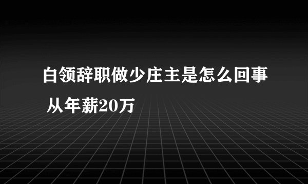 白领辞职做少庄主是怎么回事 从年薪20万