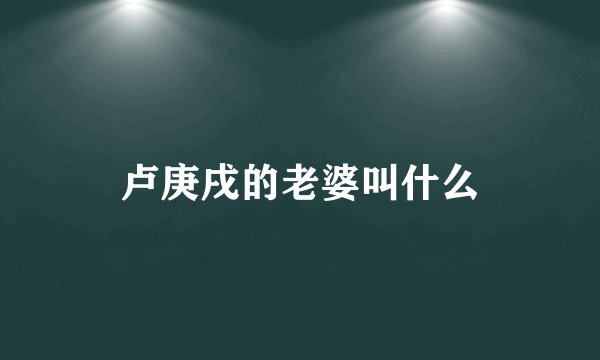 卢庚戌的老婆叫什么