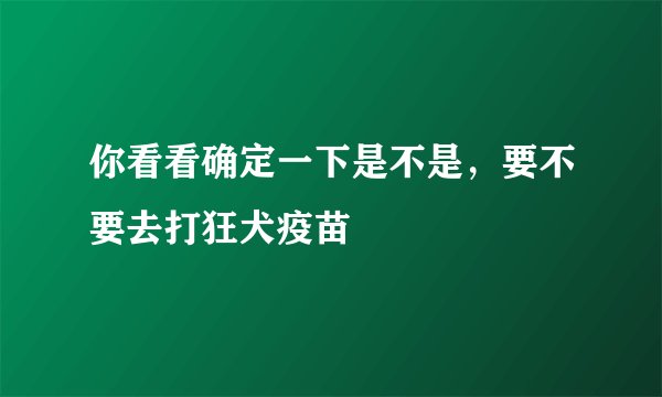 你看看确定一下是不是，要不要去打狂犬疫苗