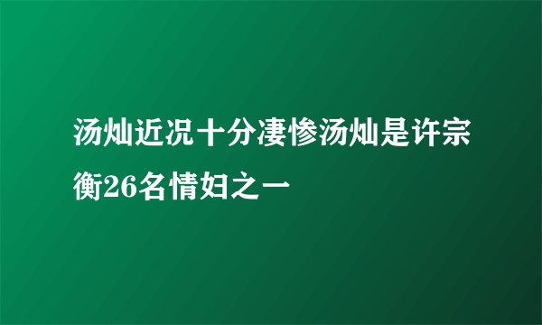 汤灿近况十分凄惨汤灿是许宗衡26名情妇之一