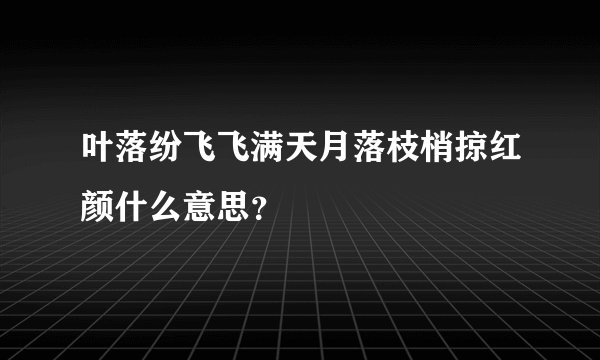 叶落纷飞飞满天月落枝梢掠红颜什么意思？