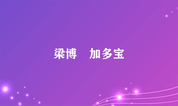 梁博 加多宝