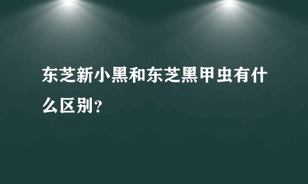 东芝新小黑和东芝黑甲虫有什么区别？