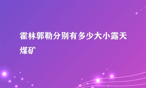 霍林郭勒分别有多少大小露天煤矿