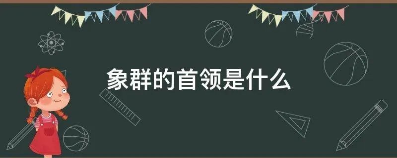 象群的首领是什么