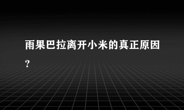 雨果巴拉离开小米的真正原因？