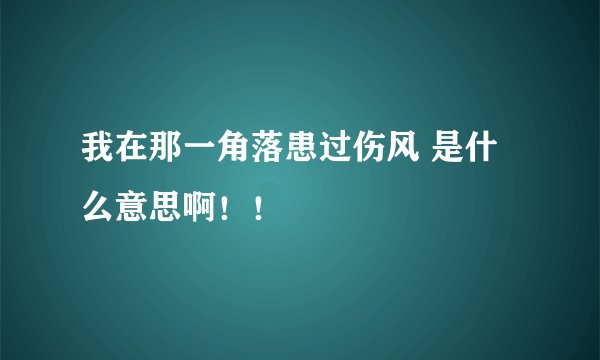 我在那一角落患过伤风 是什么意思啊!!