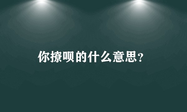 你撩呗的什么意思？
