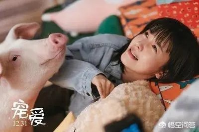 你知道哪些明星,在家养有什么样的宠物呢?