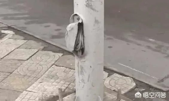 安徽一女司机6次倒车不成,将油门当刹车撞上大树,你怎么看这位女司机?