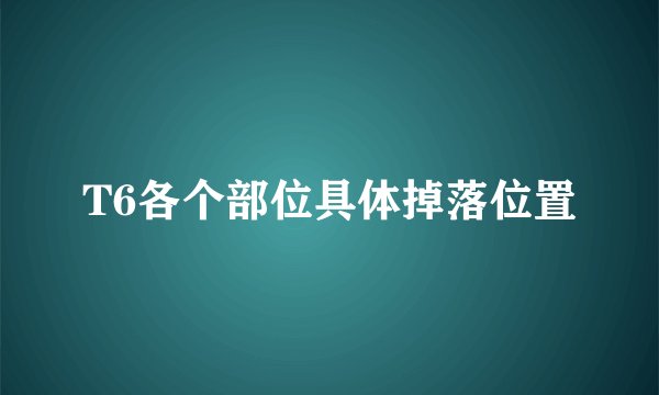 T6各个部位具体掉落位置