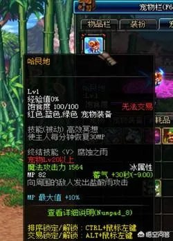 dnf特别宠物礼盒能开到什么dnf特别宠物?